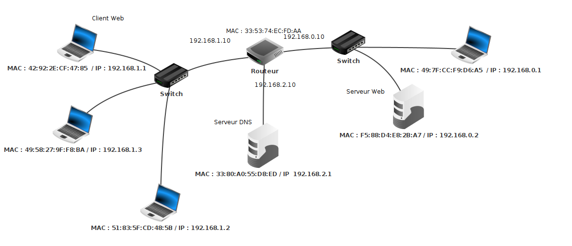 Réseaux avec serveur DNS